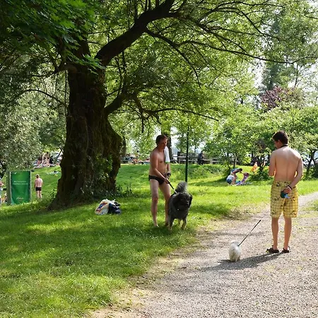 Bela Krajina - Glamping And Mobile Homes 4* Metlika