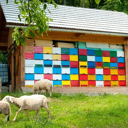 Bela Krajina - Glamping And Mobile Homes