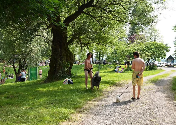 Bela Krajina - Glamping And Mobile Homes 4* メトリカ