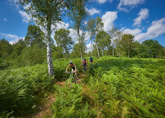 Bela Krajina - Glamping And Mobile Homes キャンプ場