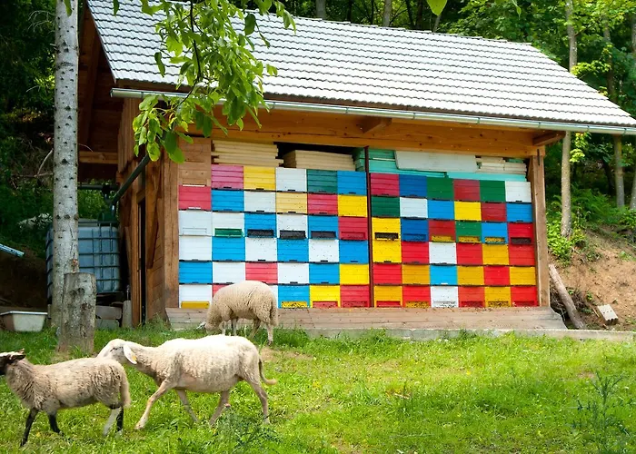 Bela Krajina - Glamping And Mobile Homes