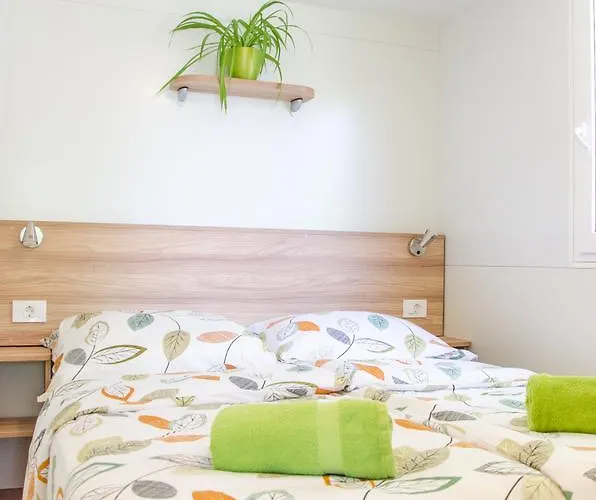 キャンプ場 Bela Krajina - Glamping And Mobile Homes